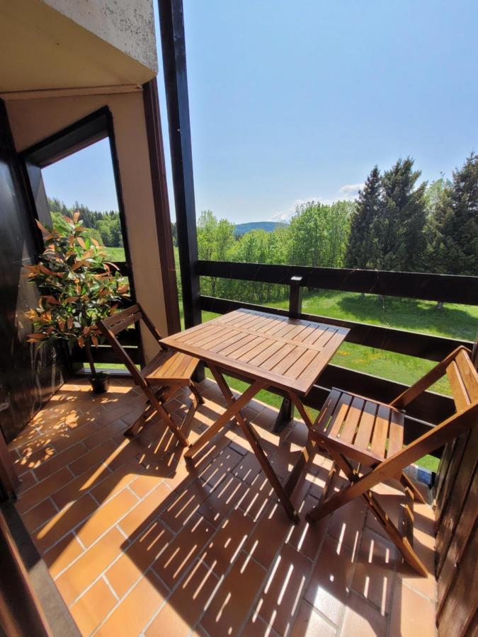 Le Duplex, Superbe Cocon Au Coeur Des Rousses, Tout Confort 5 Pers, Draps Inclus レ・ルス エクステリア 写真